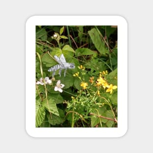 Honey Bee Flying over Flowers Magnet