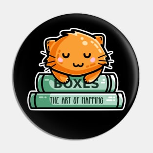 Cute Ginger Cat And Books Pin