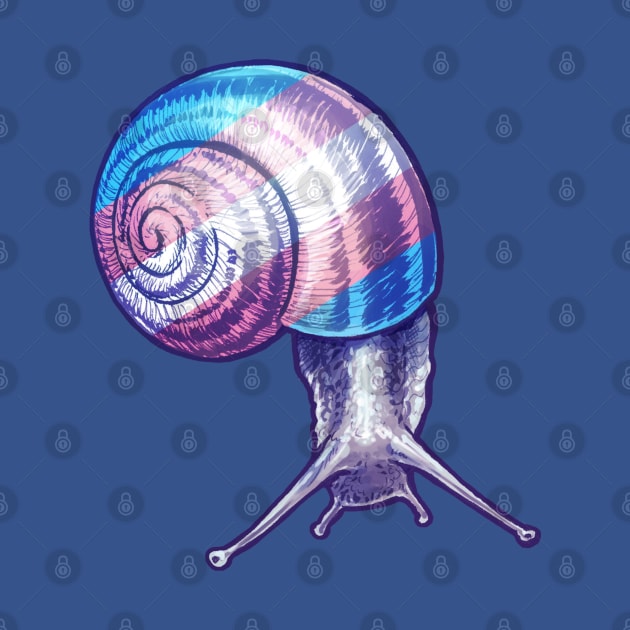 Trans Snail by Merdet