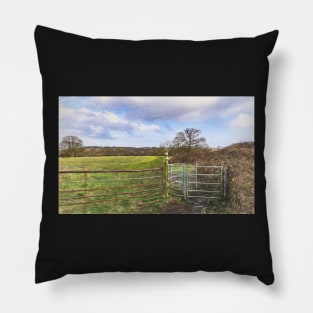 Gateway To The Meadow Pillow