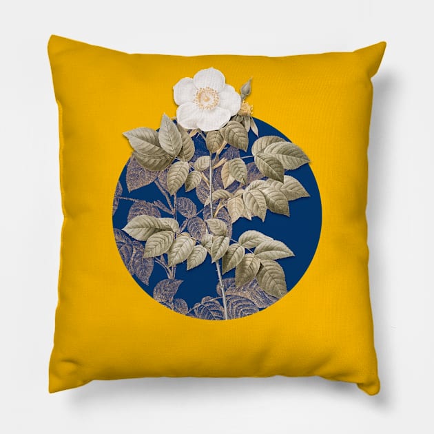 Vintage Blooming Leschenault's Rose Botanical Illustration on Circle Pillow by Holy Rock Design