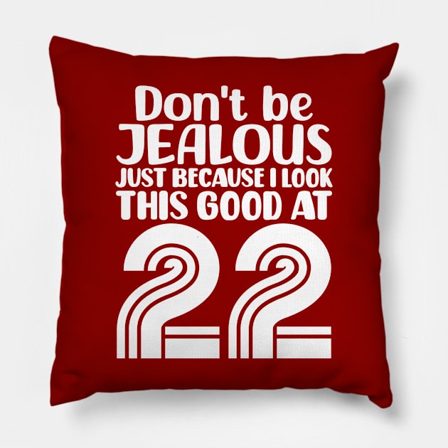 Don't Be Jealous Just Because I look This Good At 22 Pillow by colorsplash