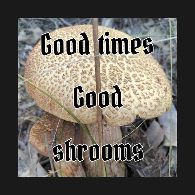 Shrooms by Dunnydoor