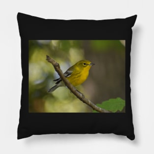 Pine warbler on a branch Pillow