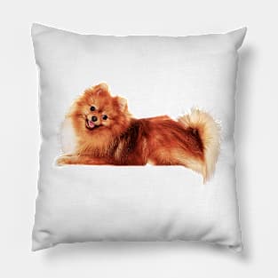 Precious Pomeranian Pillow