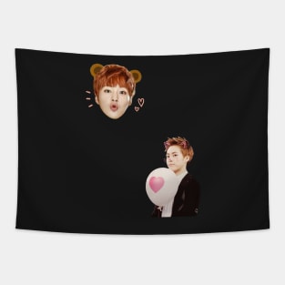 Cute Xiumin Tapestry