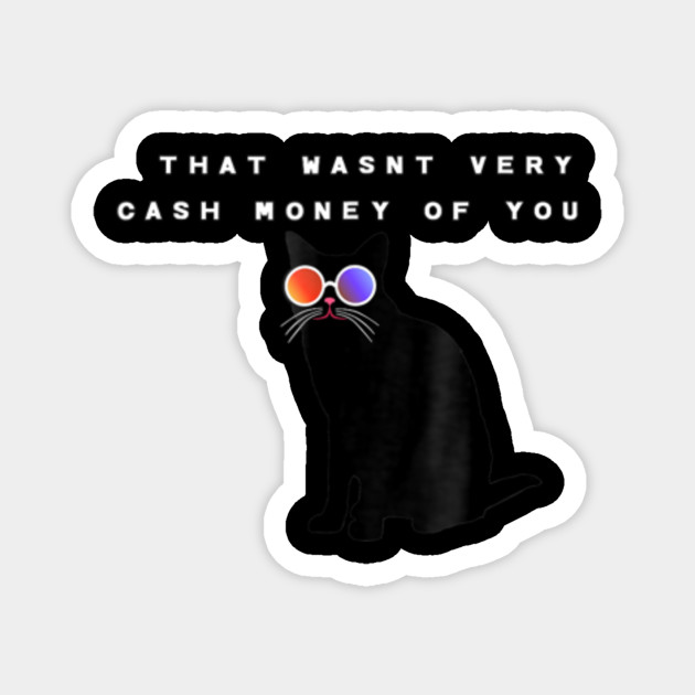 That Wasn T Very Cash Money Of You Cat Meme That Wasnt Very Cash
