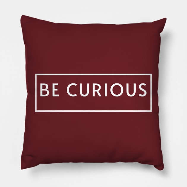 Be Curious 3 Pillow by Salt + Cotton