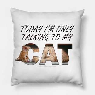 Today I'm only talking to my cat - ginger cat oil painting word art Pillow