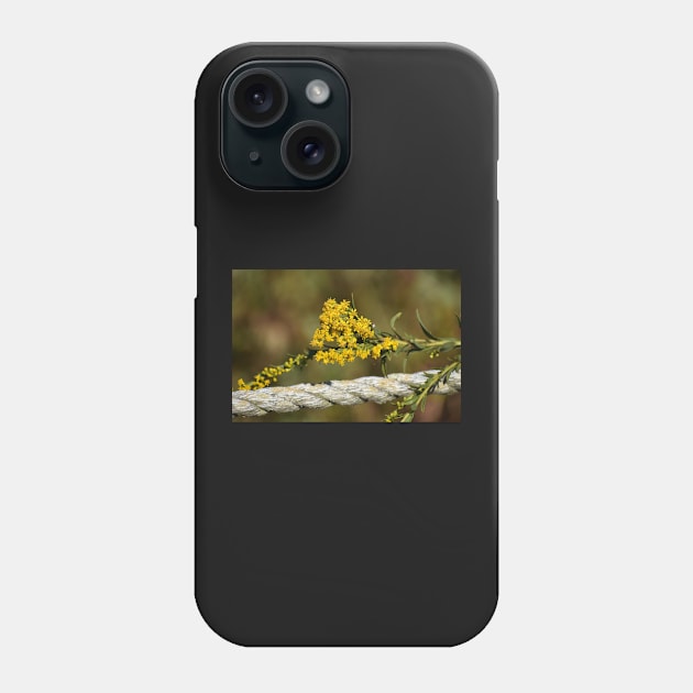 Goldenrod drooping on a rope Phone Case by ToniaDelozier