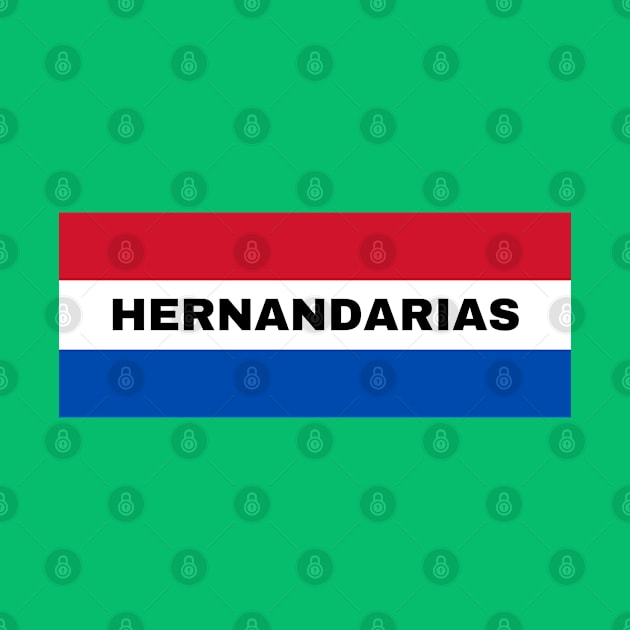 Hernandarias City in Paraguay Flag by aybe7elf