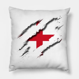 England Shredding Pillow