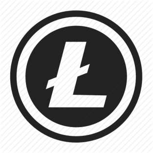 Litecoin Logo Magnet