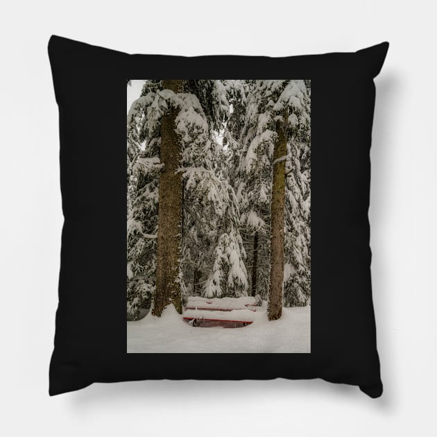 Standing room only Pillow by mbangert