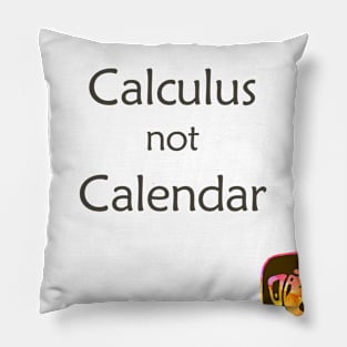 I Do Calculus Not Calendar Pillow