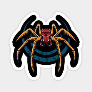 Spider Magnet