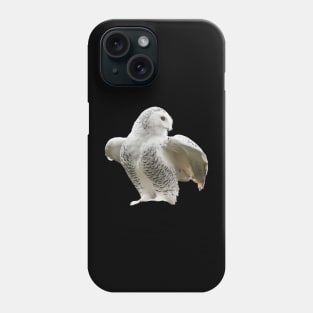 Owl Snow Phone Case