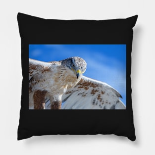 Dreams of Flight Pillow