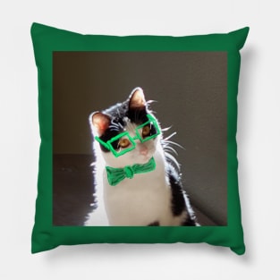 Smarty Cat! Pillow