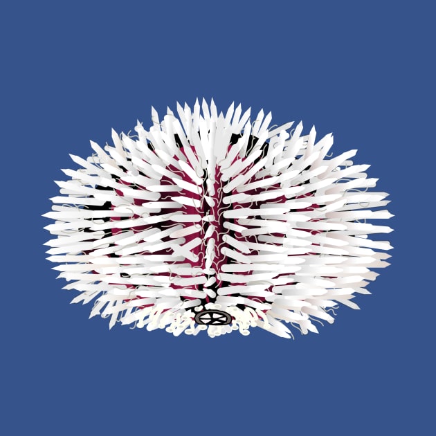 White and red sea urchin animal by FabuleusePlanete