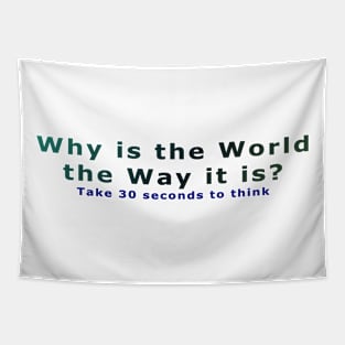 Why is the World the Way it is? Tapestry