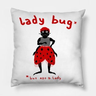 Lady Bug Pillow