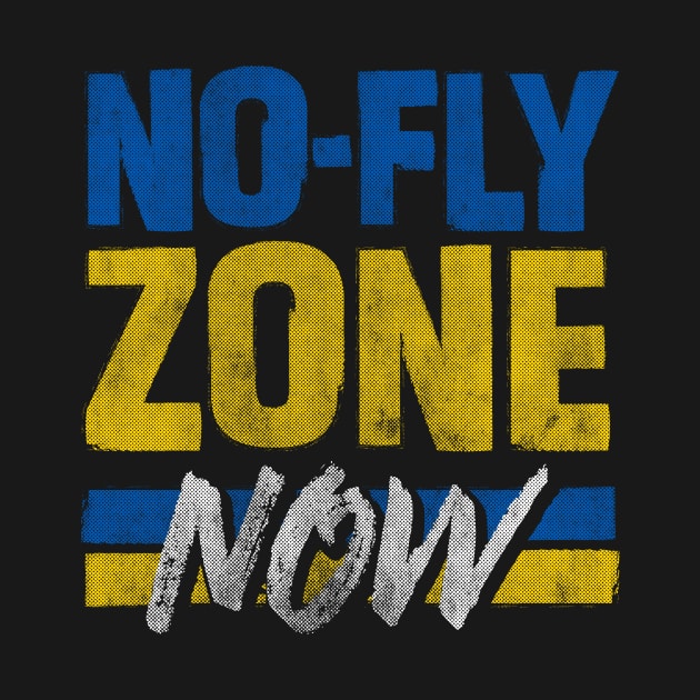 Ukraine No Fly Zone Now, Protect Ukraine Skies by mindeverykind