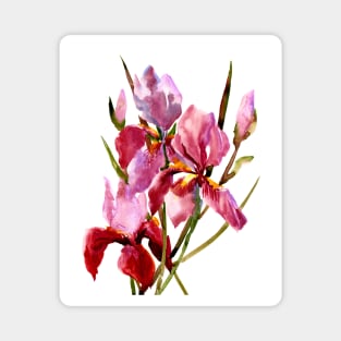 Burgundy Red Iris FLowers Magnet