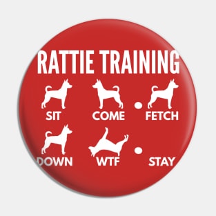 Rat Terrier Training Rattie Dog Tricks Pin