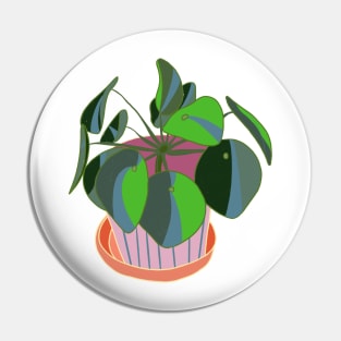 Pilea Pin