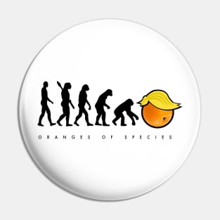 Oranges of Species Pin