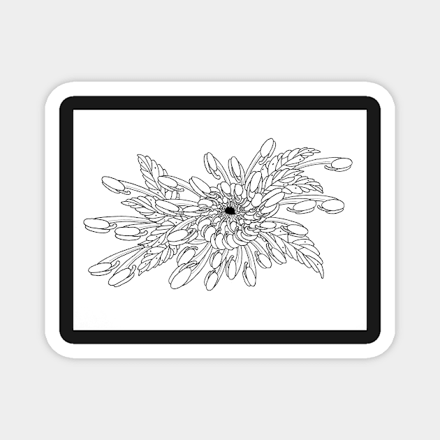 Chrysanthemum Magnet by Harinedzumi