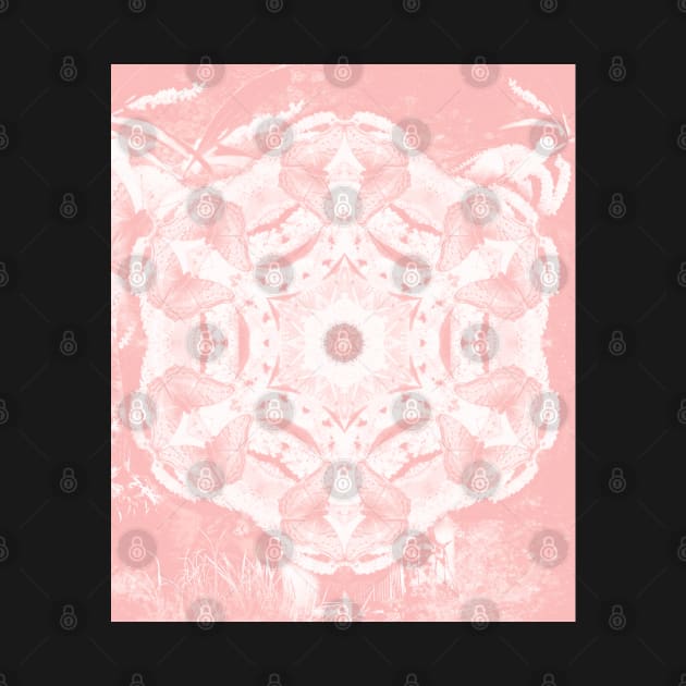 Kaleidoscope of butterflies in rose quartz by hereswendy