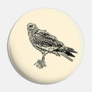 Marsh harrier Pin