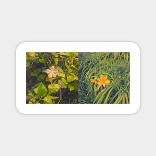 Wild flowers Magnet