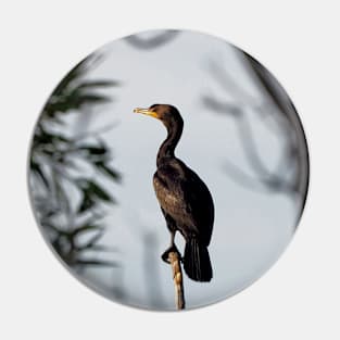 Double-crested Cormorant Perched On a Tree Branch Pin