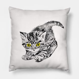 Cute kitten Pillow