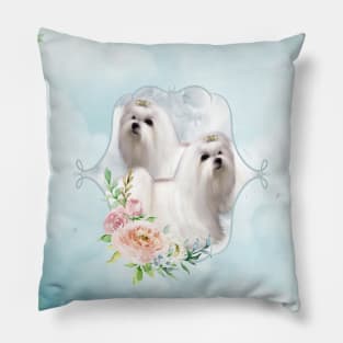 Cute little maltese Pillow