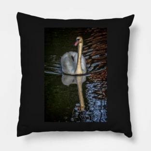 A Swan On The Kennet Pillow