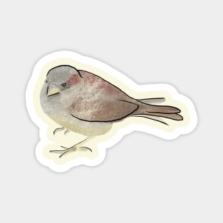 Sparrow Magnet