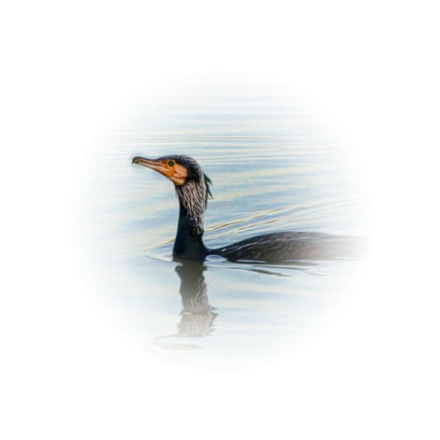 Cormorant by Guardi