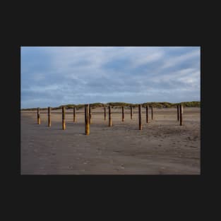 Wooden poles on the beach of Schiermonnikoog, Netherlands T-Shirt