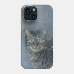 Cat behind a glass pane Phone Case