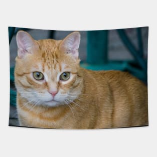 Calico Cat. Tapestry