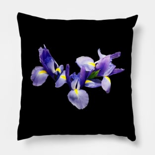 Irises - Group of Japanese Irises Pillow