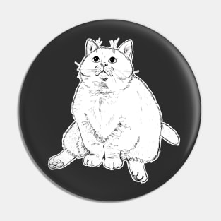 Chonky Cheeks Cat Pin