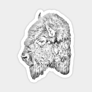 Drawing conversion of a Buffalo head Magnet