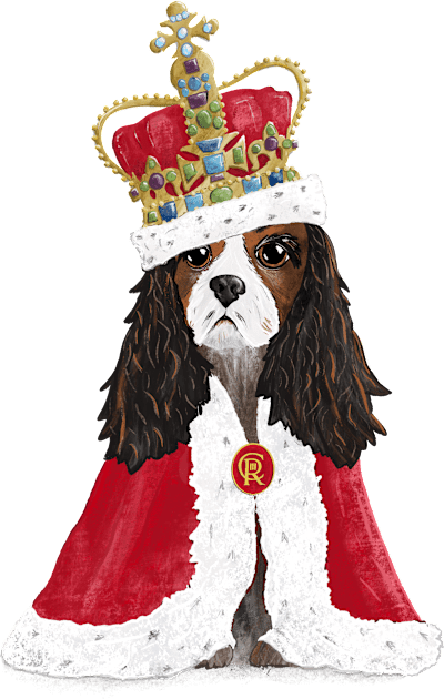 His Majesty King Charles Fun Coronation Souvenir on cream Kids T-Shirt by NattyDesigns