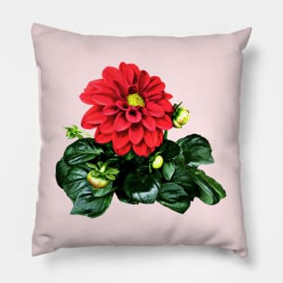 Red Dahlia Dahlinova Pillow