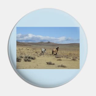 Wild horses, mustangs, nature, wildlife, gifts Pin